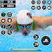 Cuộc đua trong bể bơi: Bơi 3D
